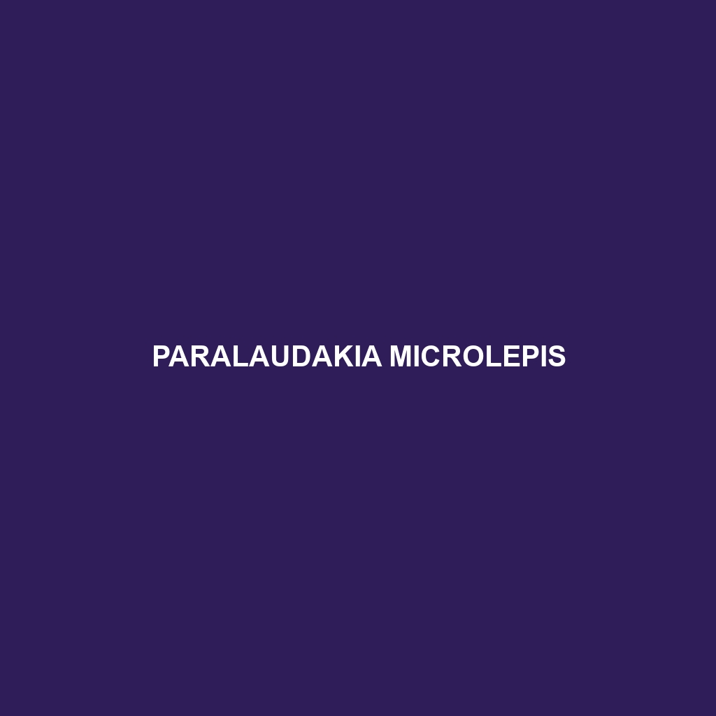 Paralaudakia microlepis