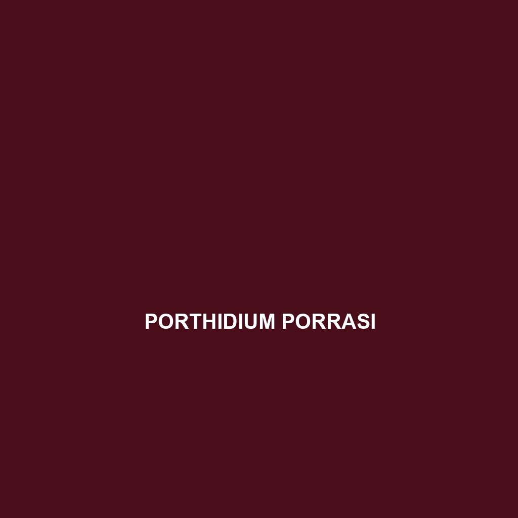 Porthidium porrasi