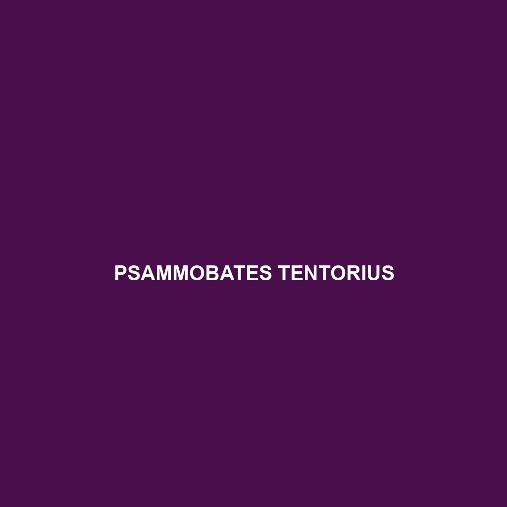 Psammobates tentorius