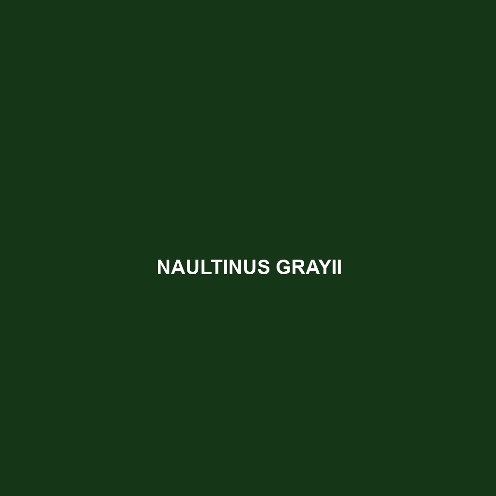 Naultinus grayii