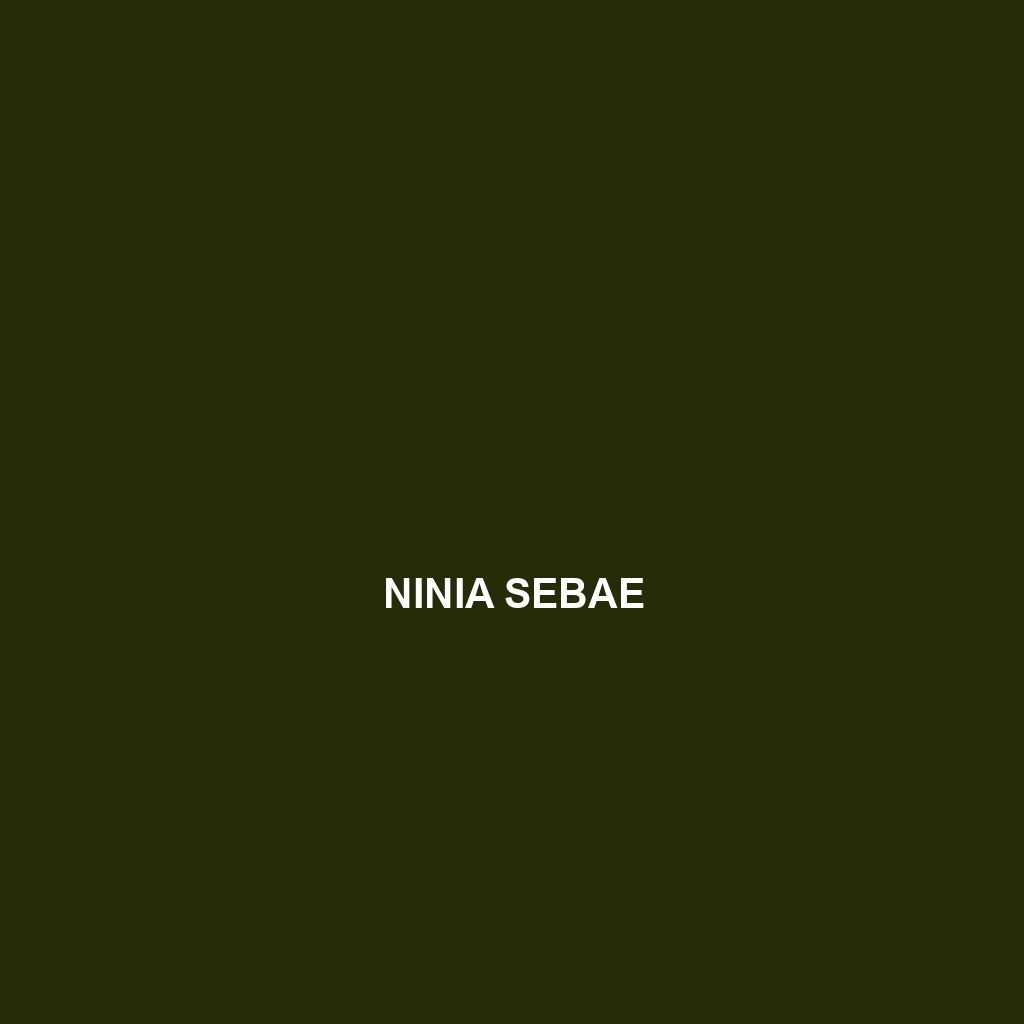 Ninia sebae