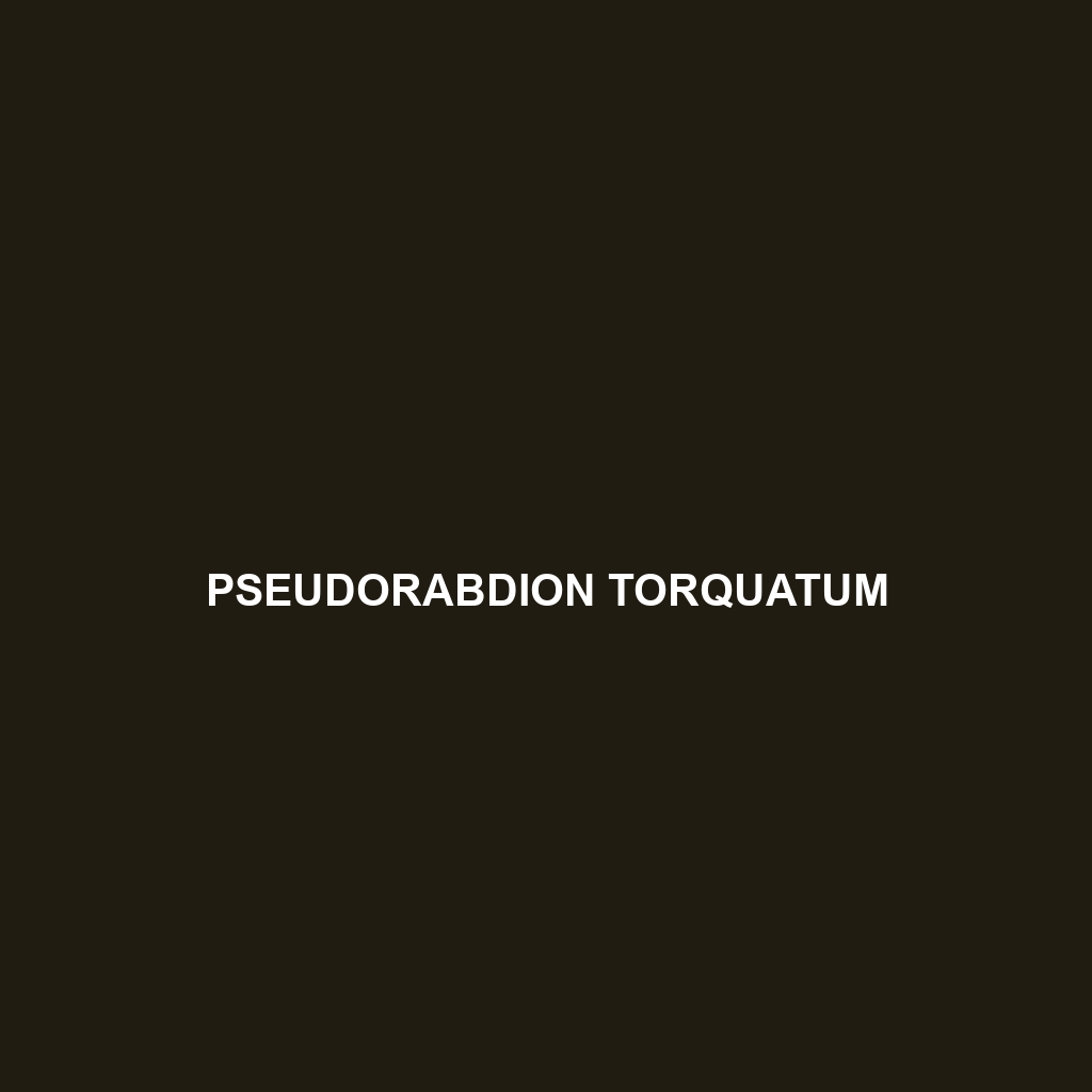 Pseudorabdion torquatum