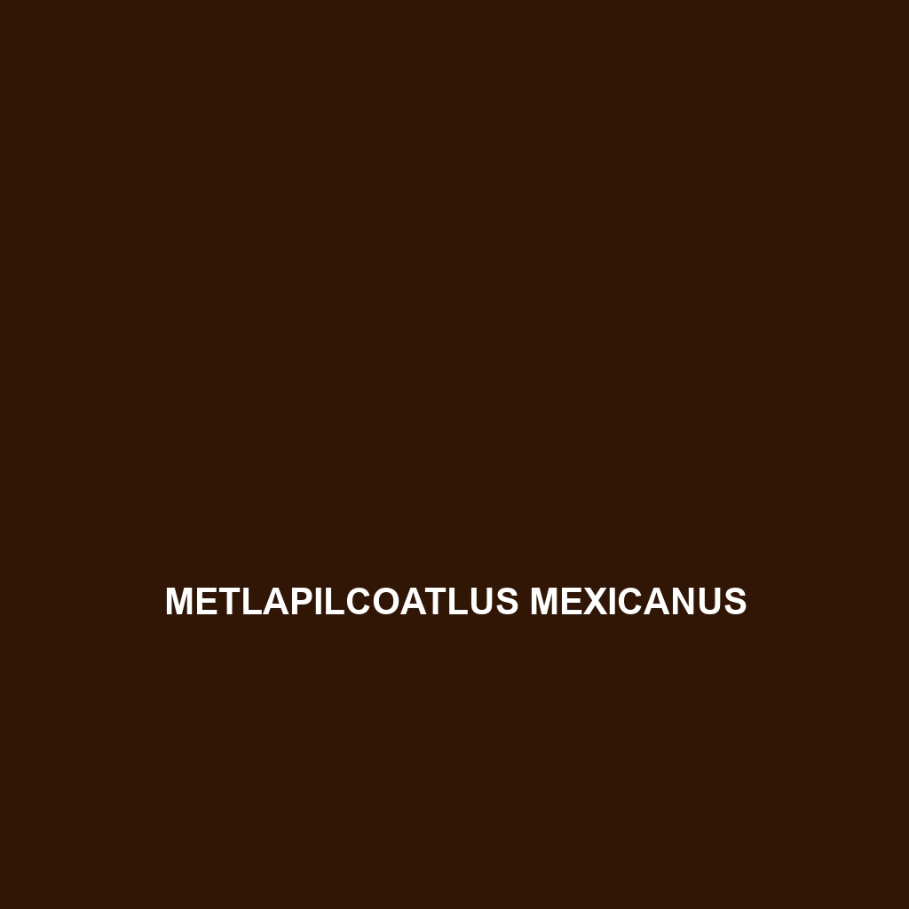 Metlapilcoatlus mexicanus