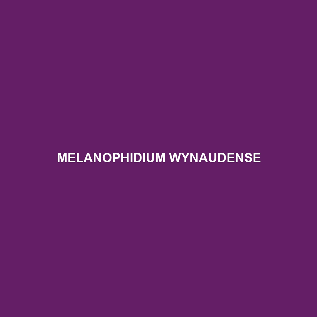 Melanophidium wynaudense