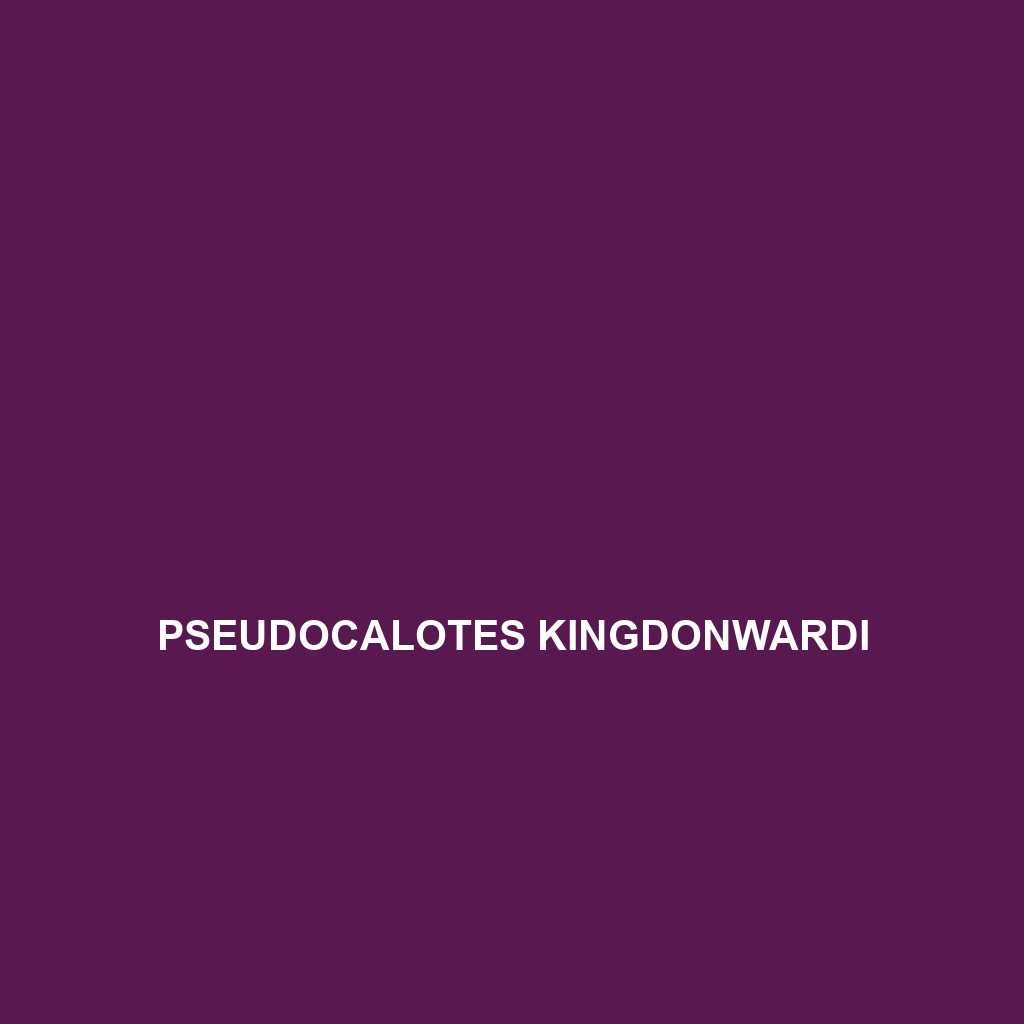 Pseudocalotes kingdonwardi