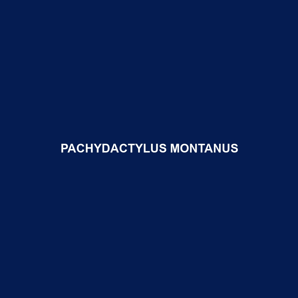 Pachydactylus montanus