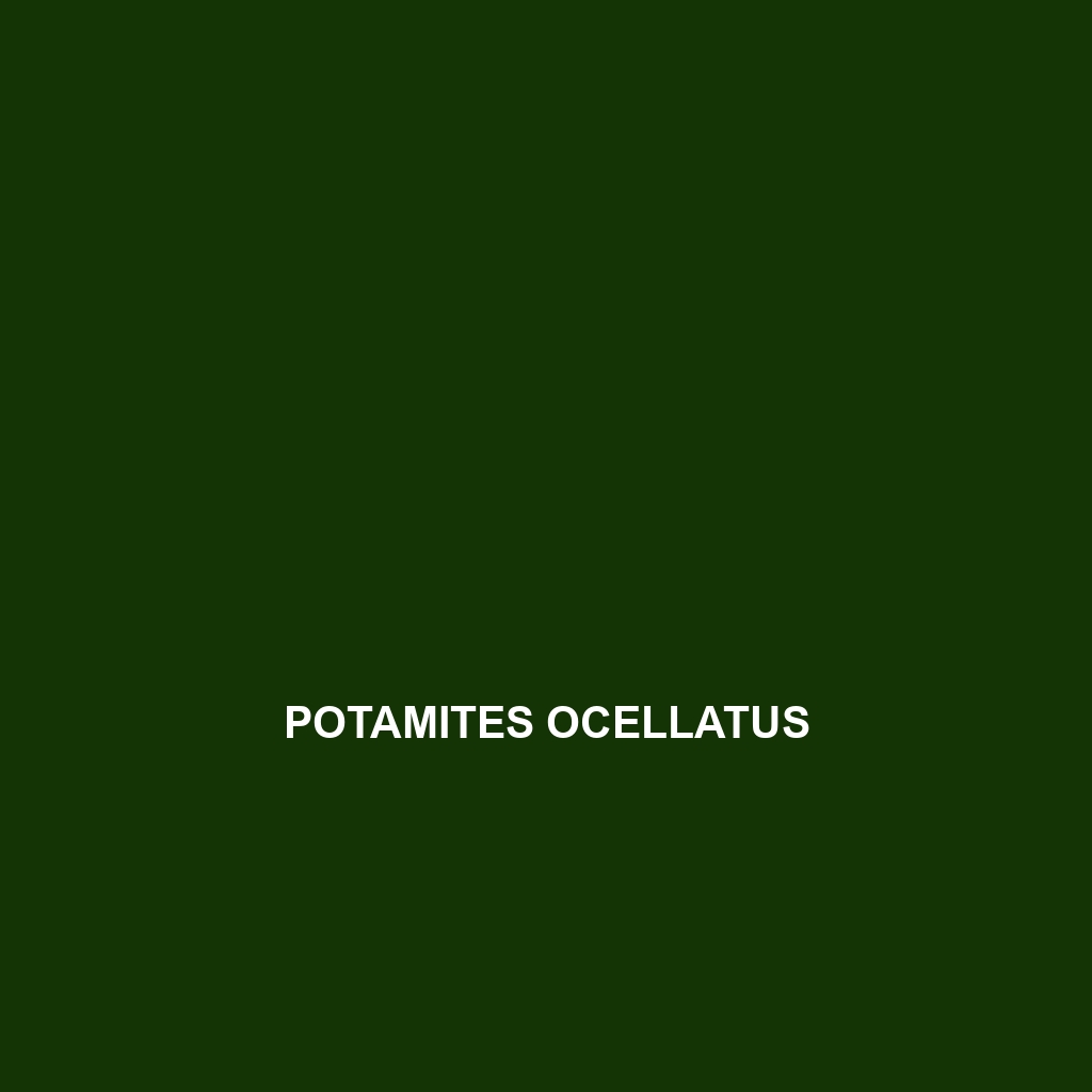 Potamites ocellatus