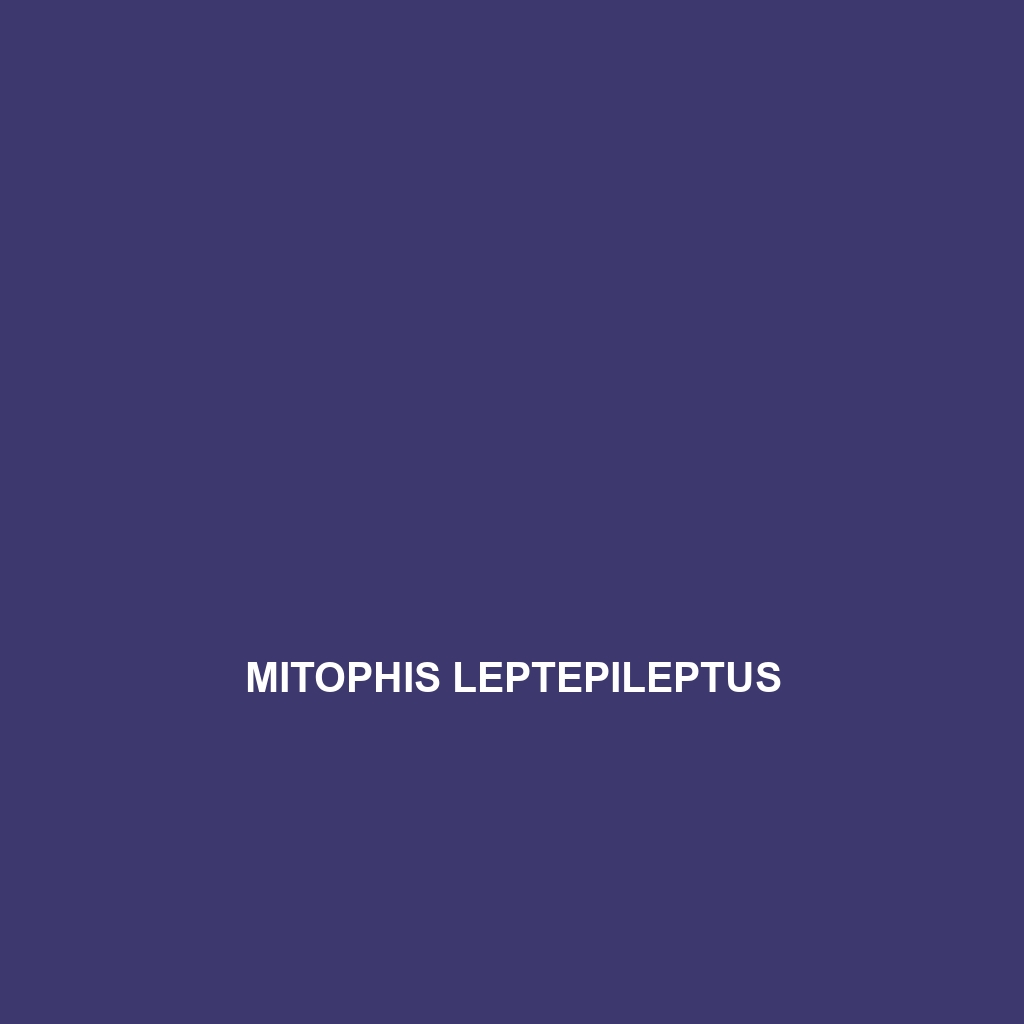 Mitophis leptepileptus