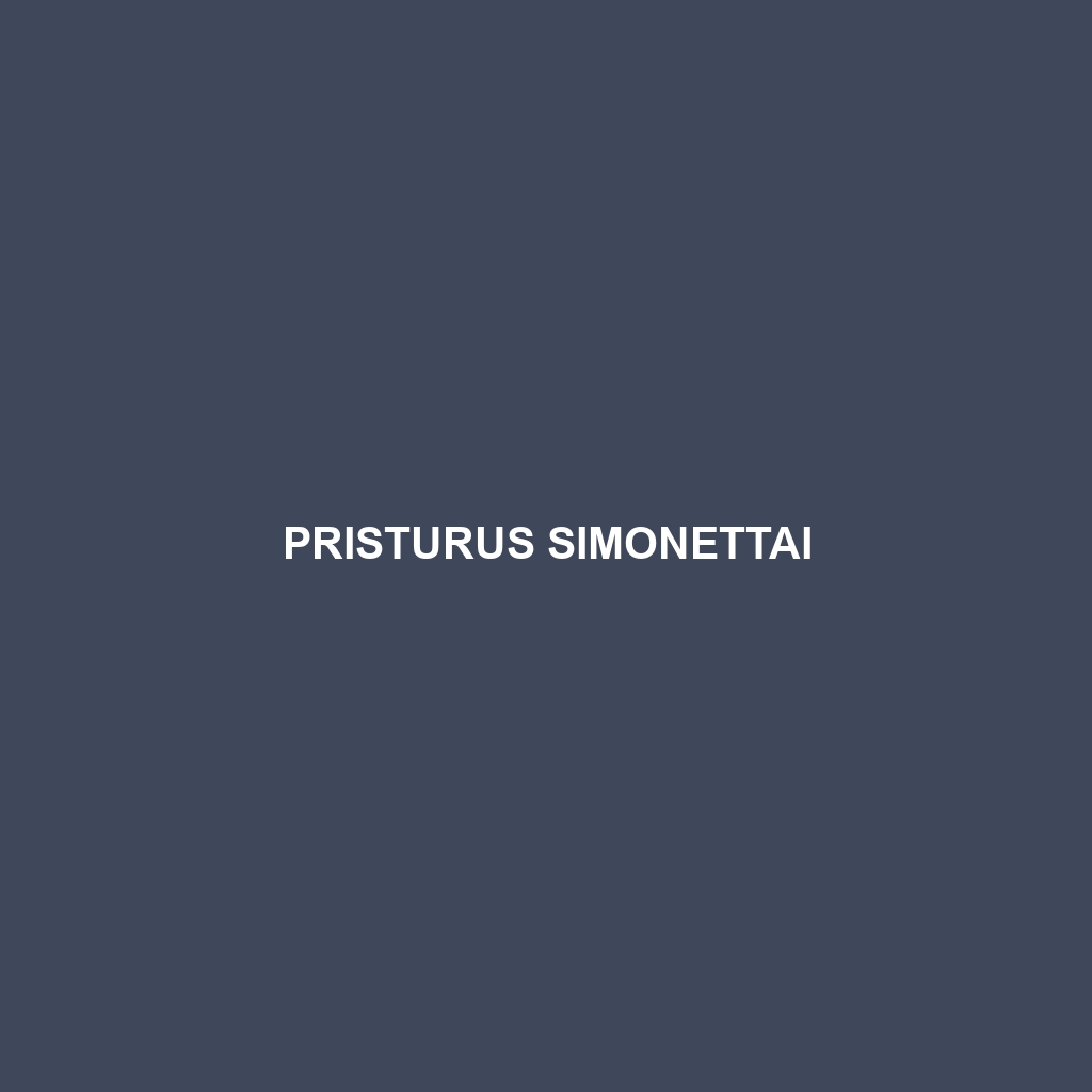 Pristurus simonettai