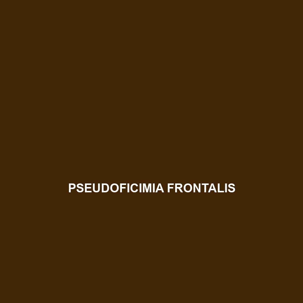 Pseudoficimia frontalis