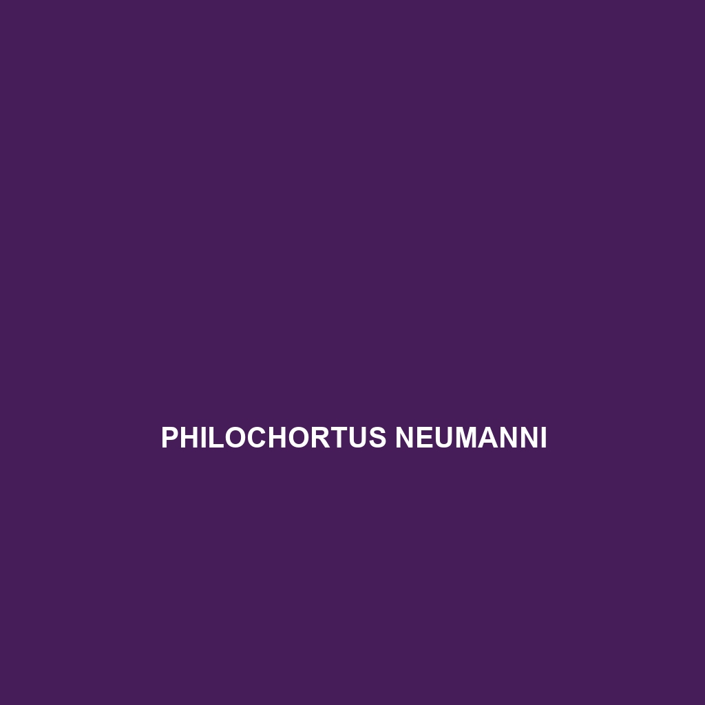 Philochortus neumanni