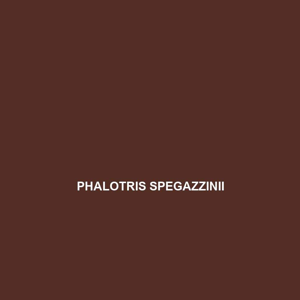 Phalotris spegazzinii