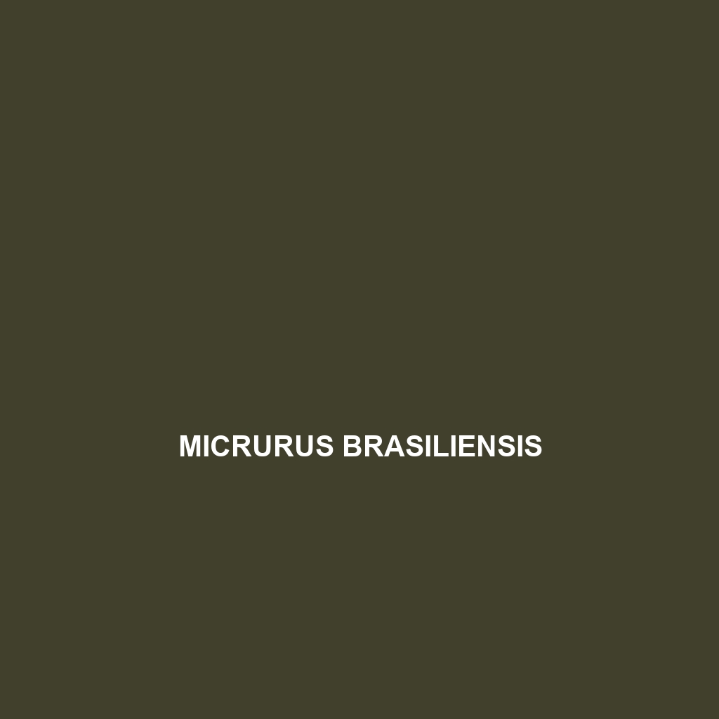 Micrurus brasiliensis