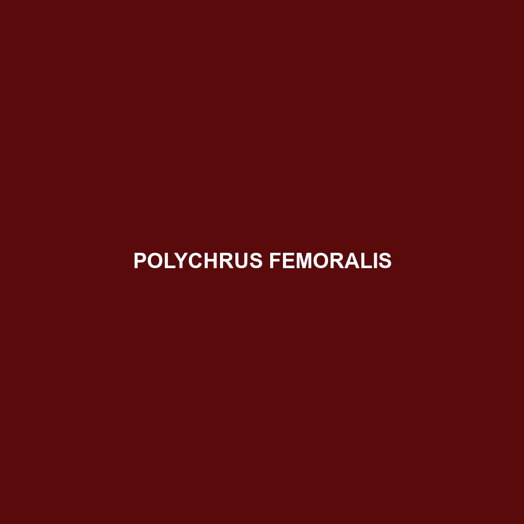 Polychrus femoralis