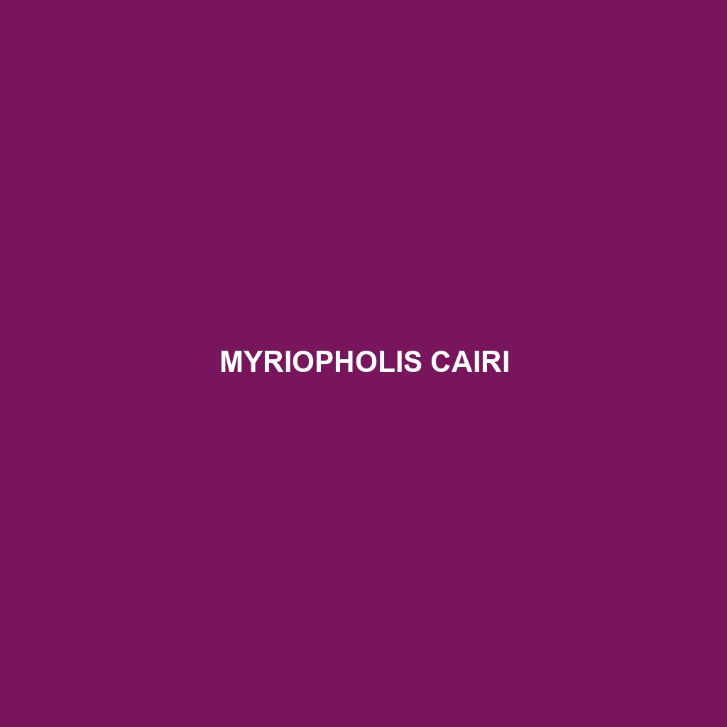 Myriopholis cairi