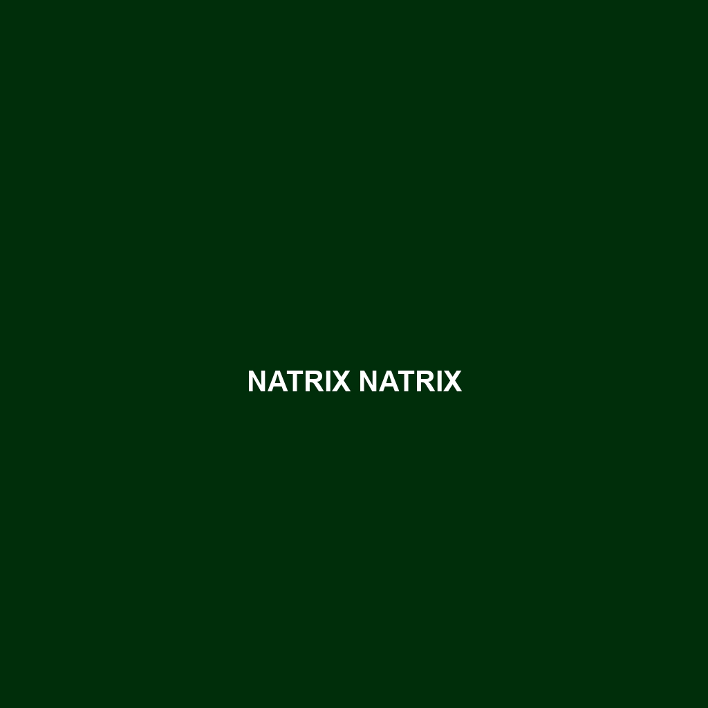 Natrix natrix