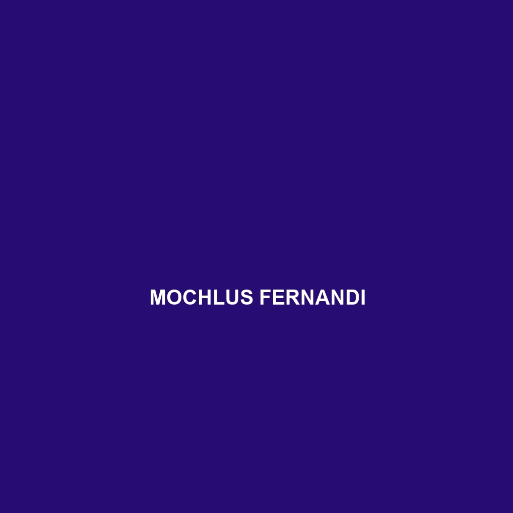 Mochlus fernandi