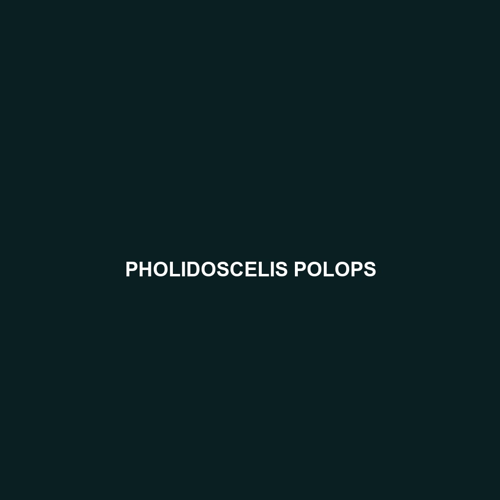 Pholidoscelis polops