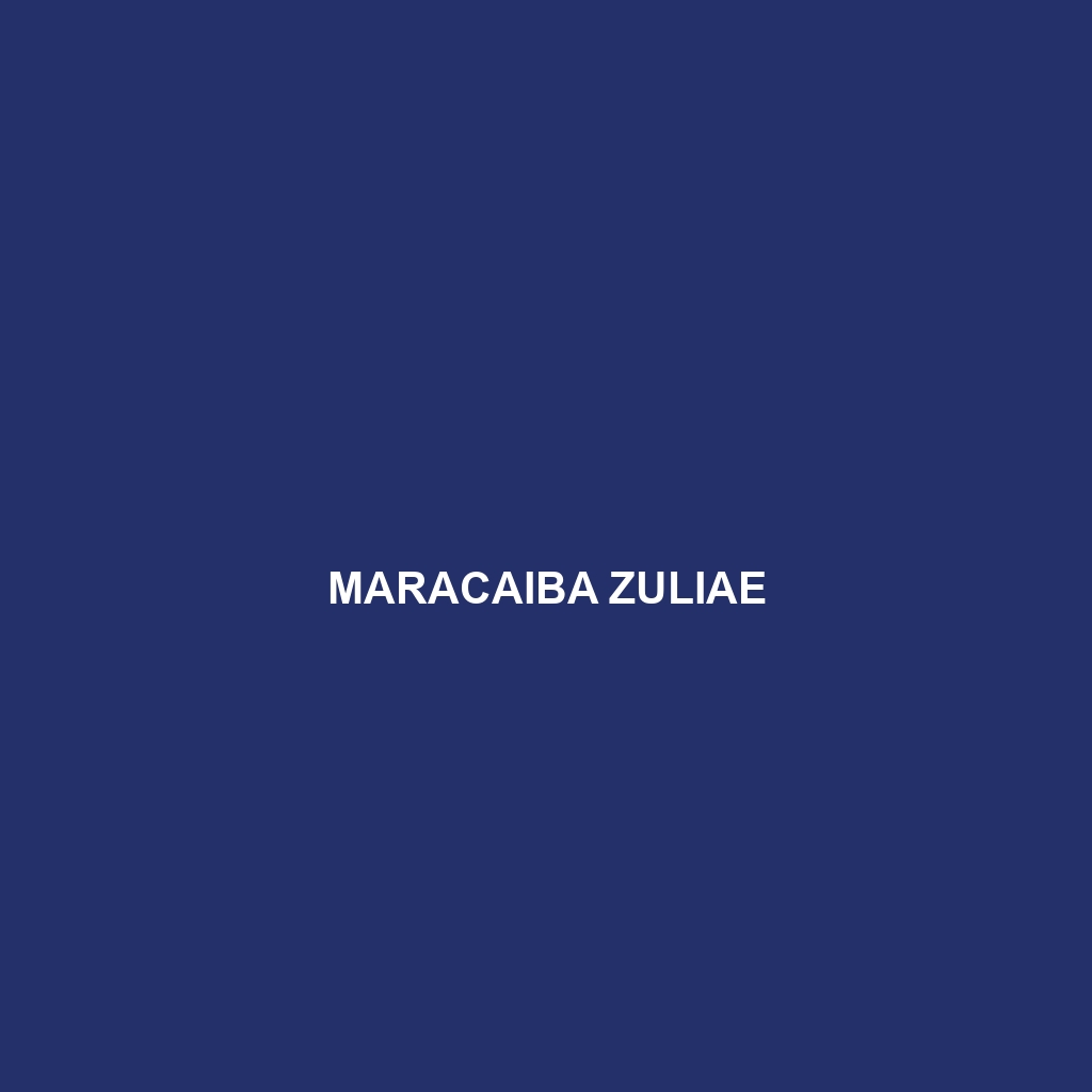 Maracaiba zuliae