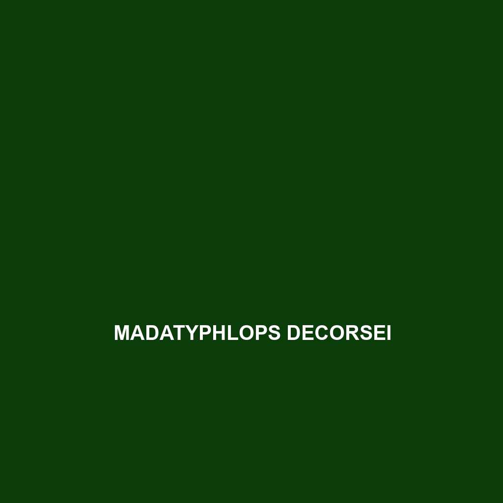 Madatyphlops decorsei