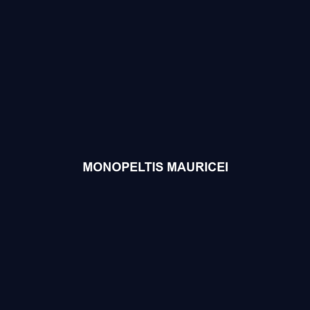 Monopeltis mauricei