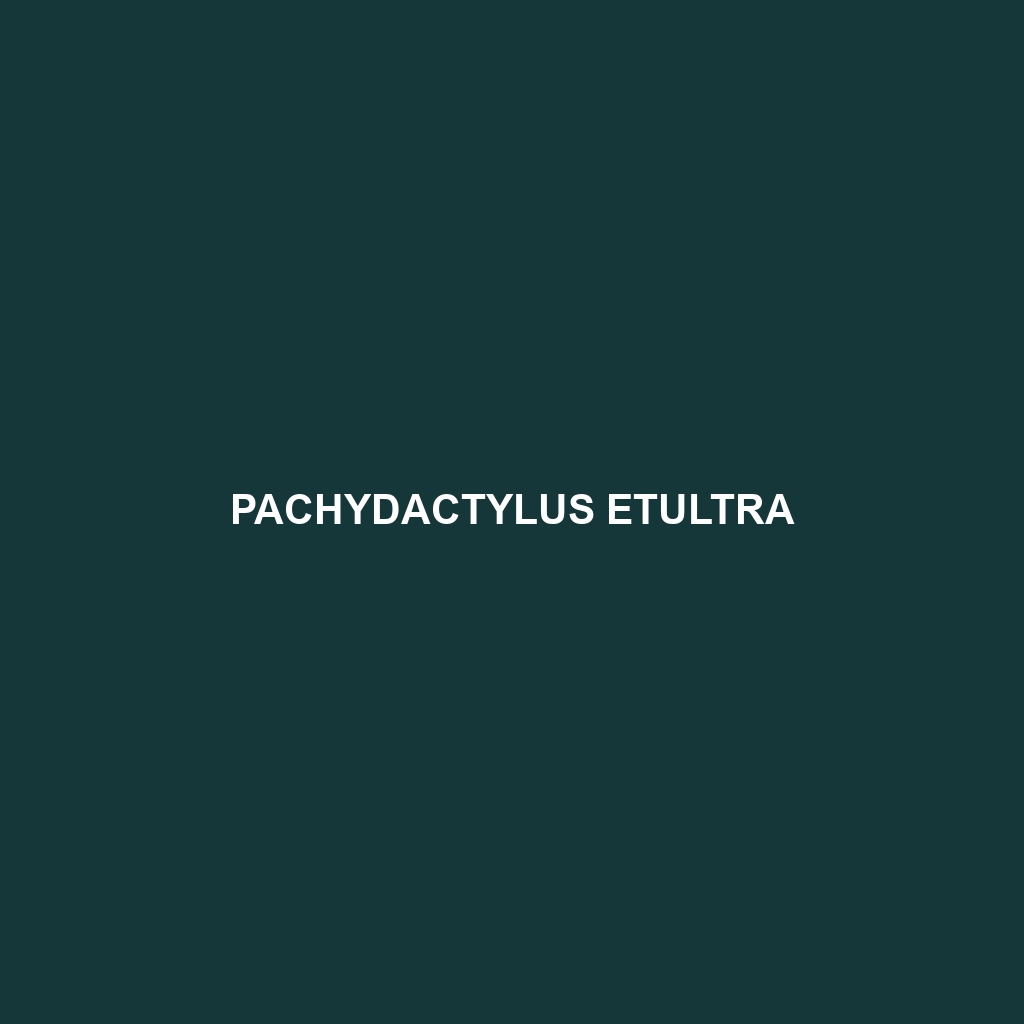 Pachydactylus etultra