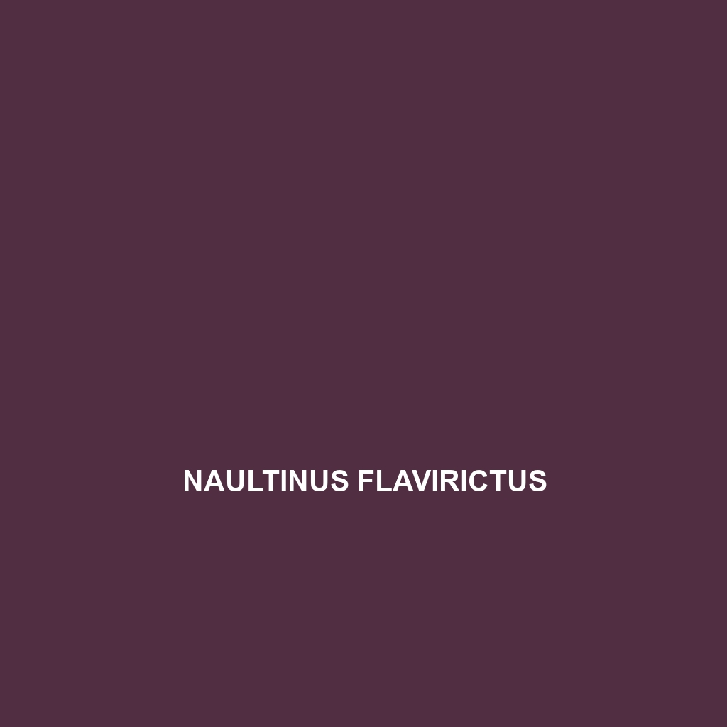 Naultinus flavirictus