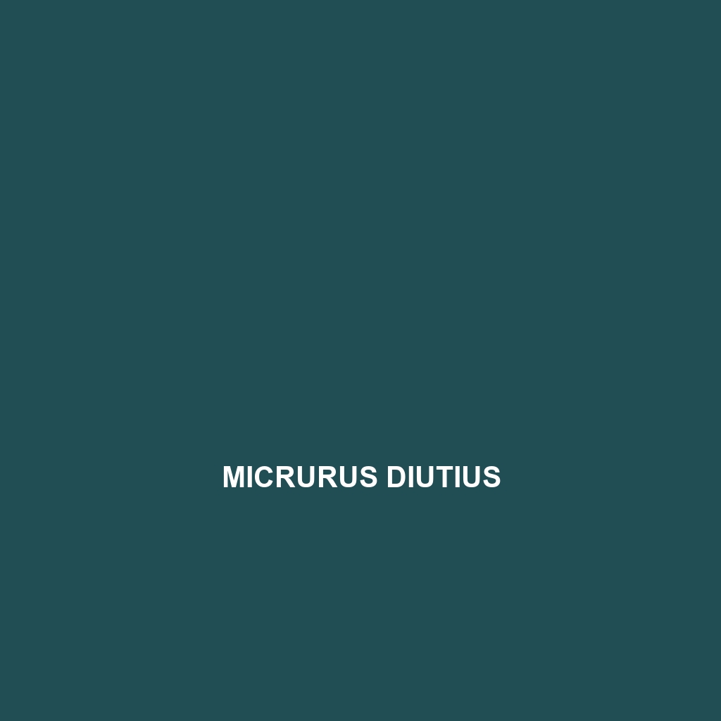 Micrurus diutius