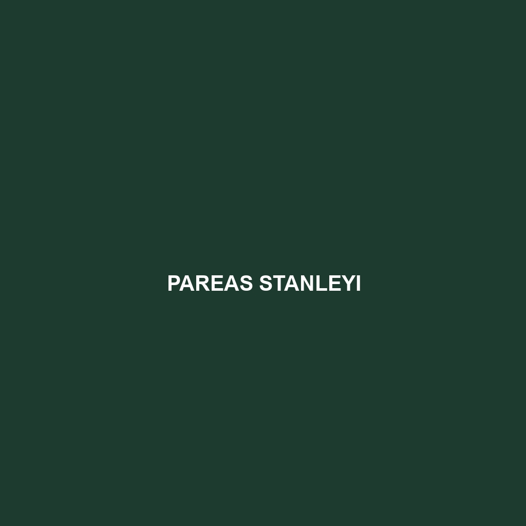 Pareas stanleyi