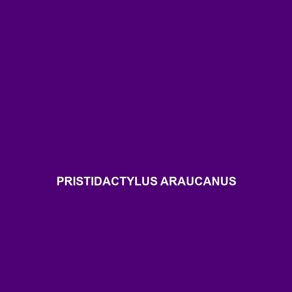 Pristidactylus araucanus