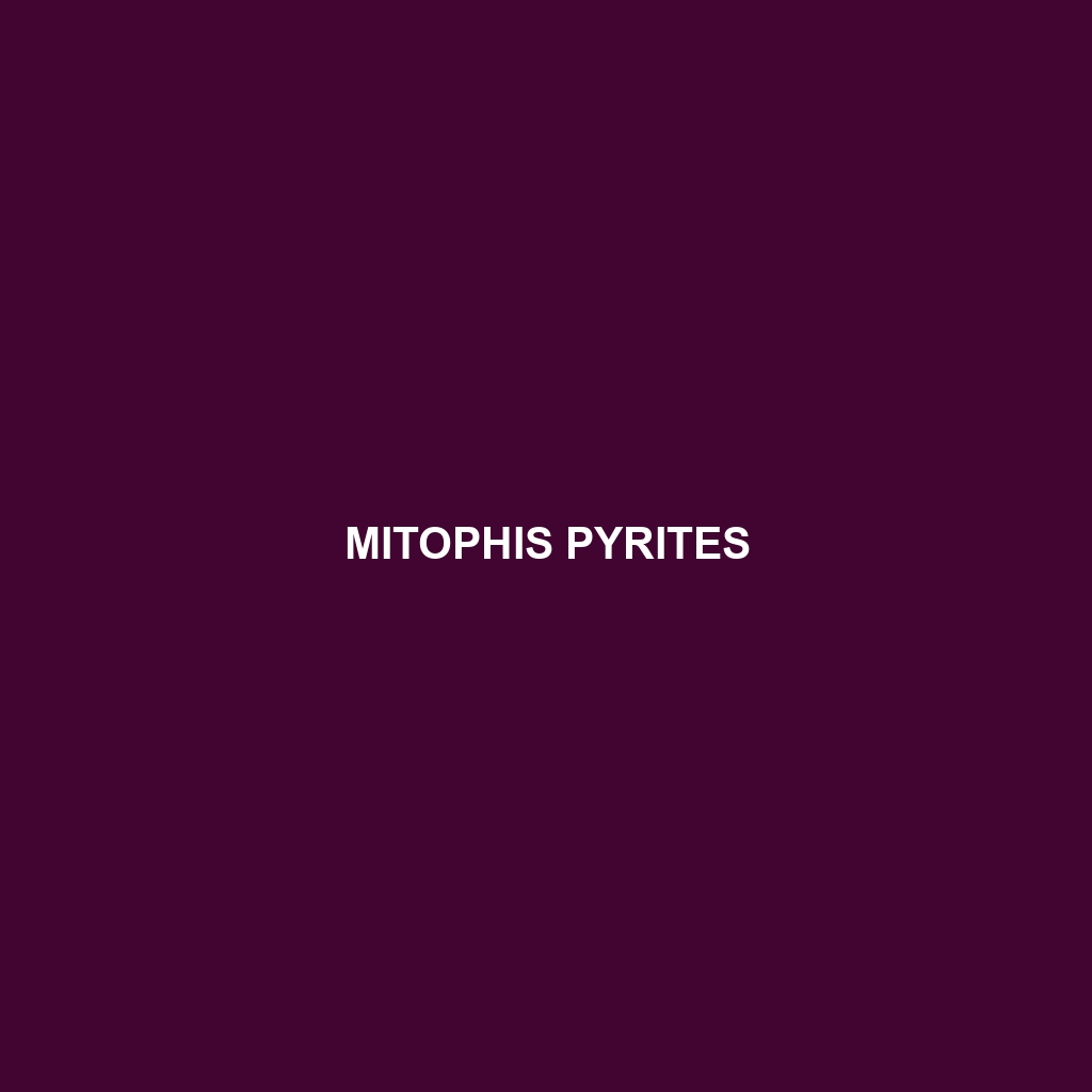 Mitophis pyrites