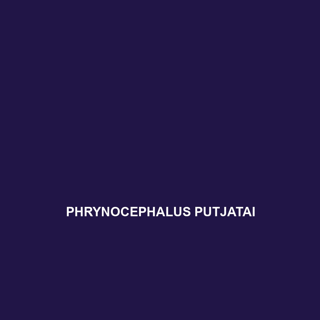 Phrynocephalus przewalskii