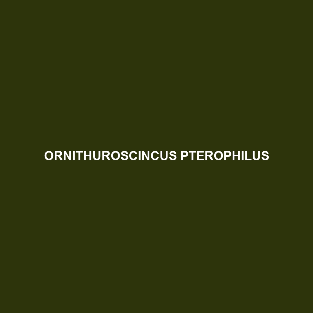 Ornithuroscincus pterophilus