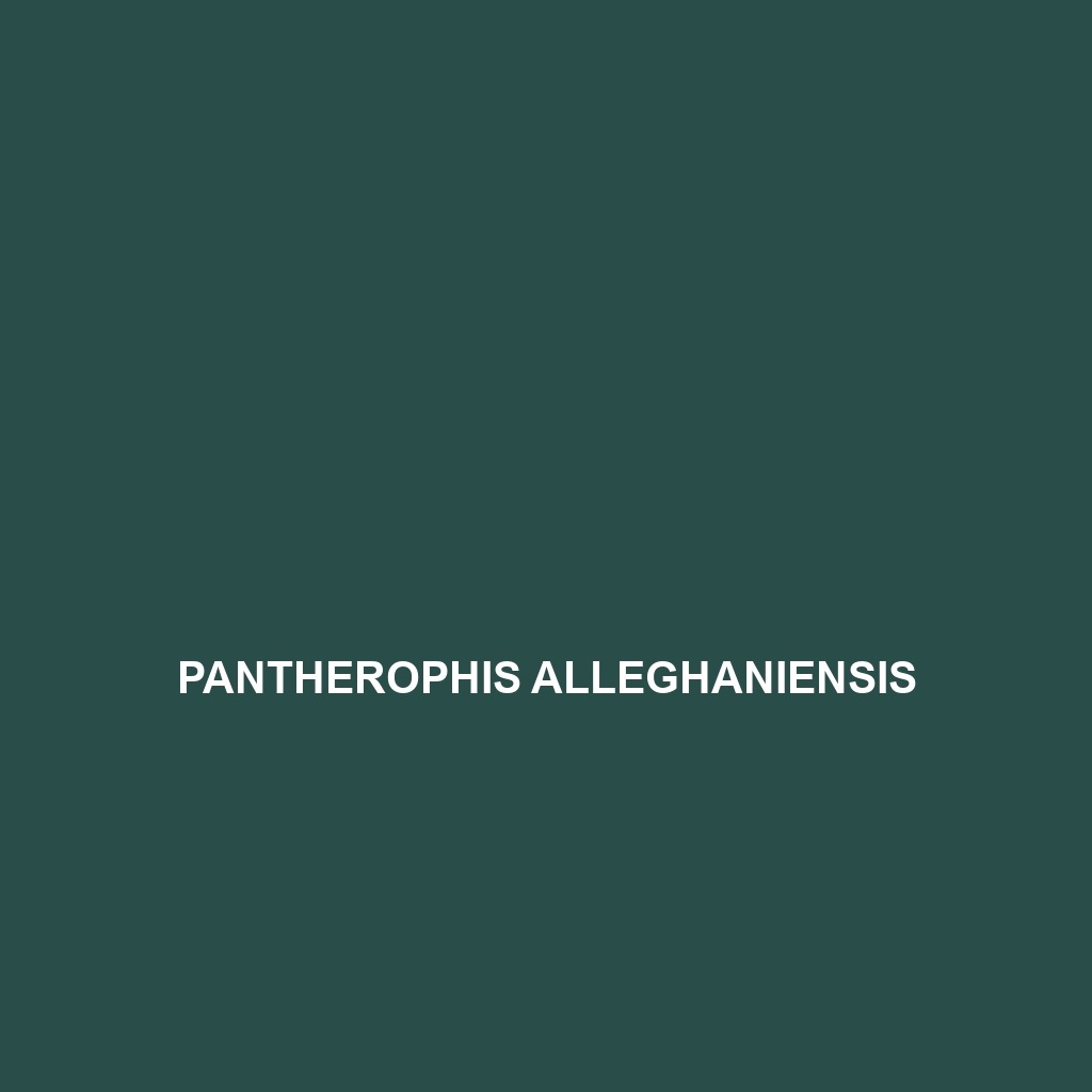 Pantherophis alleghaniensis