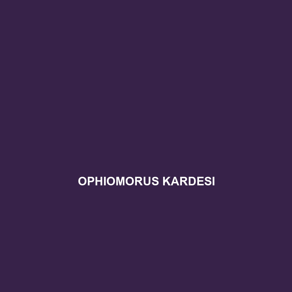 Ophiomorus kardesi