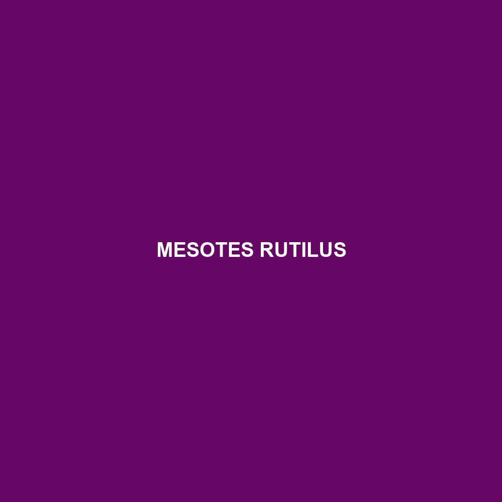 Mesotes rutilus