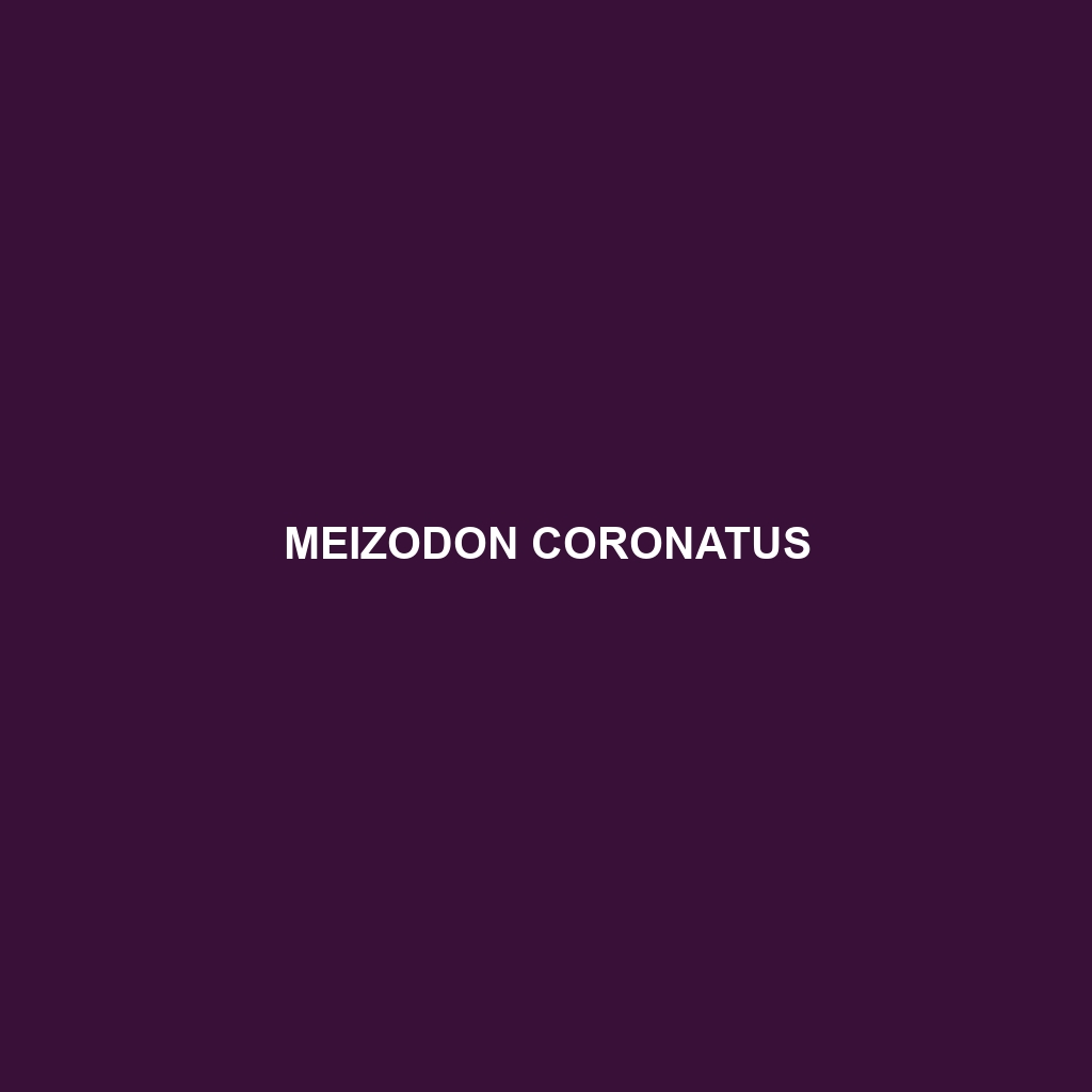 Meizodon coronatus