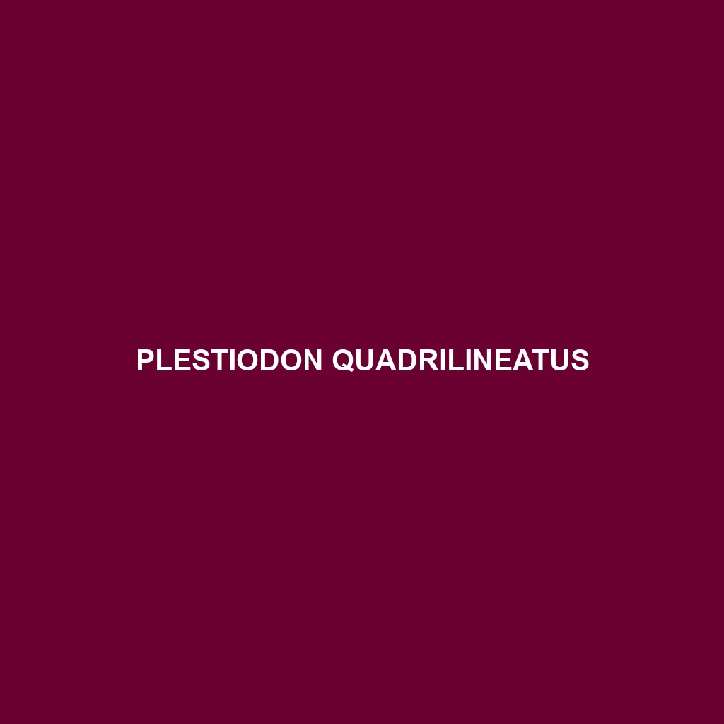 Plestiodon quadrilineatus