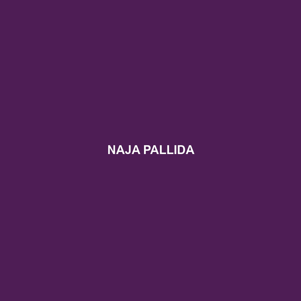 Naja pallida