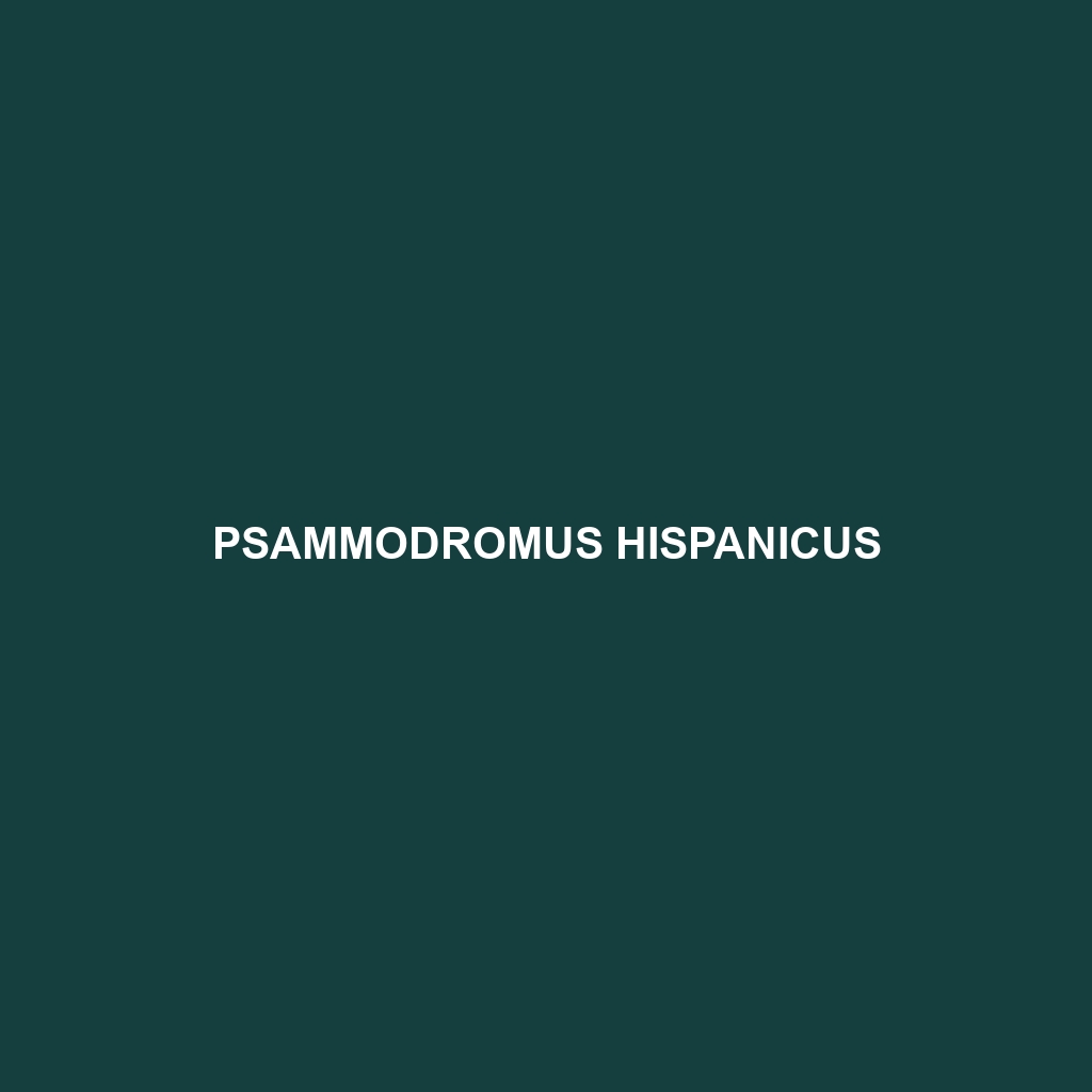 Psammodromus hispanicus