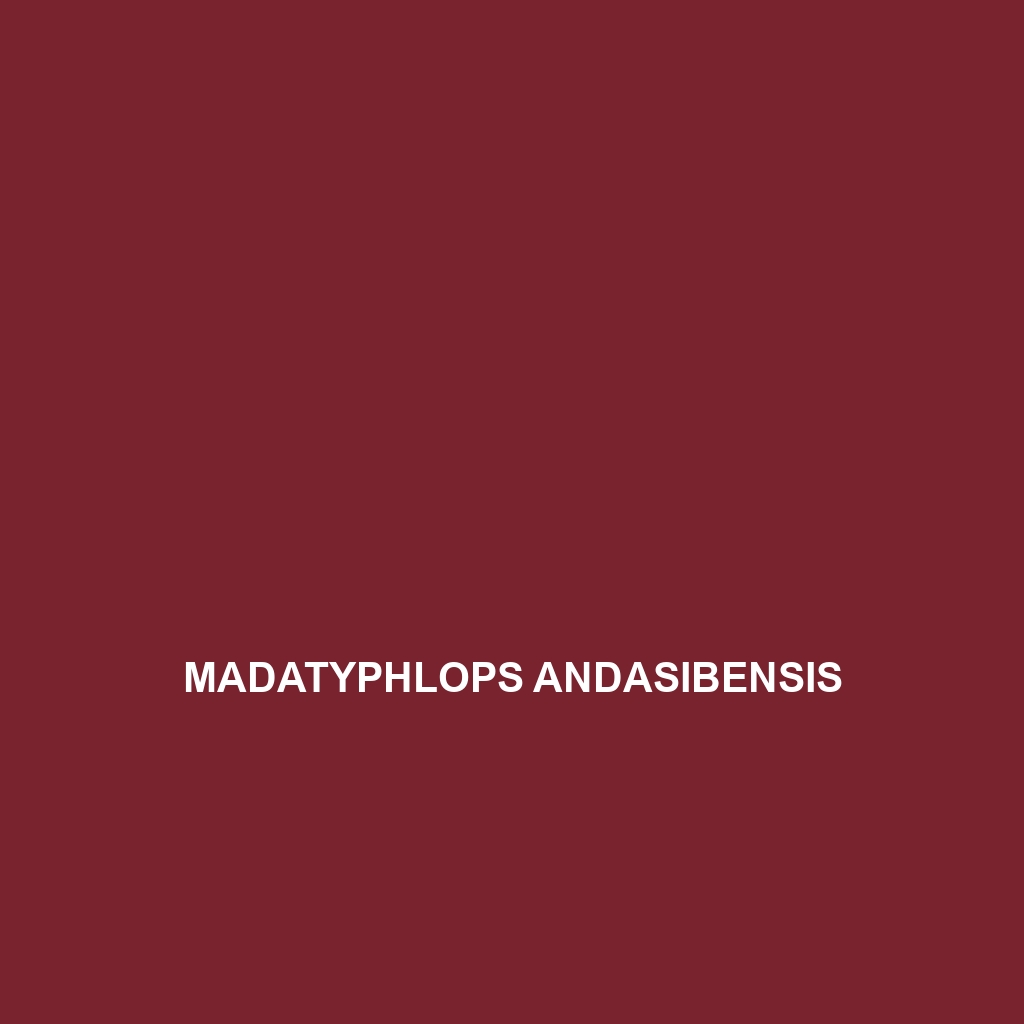 Madatyphlops andasibensis