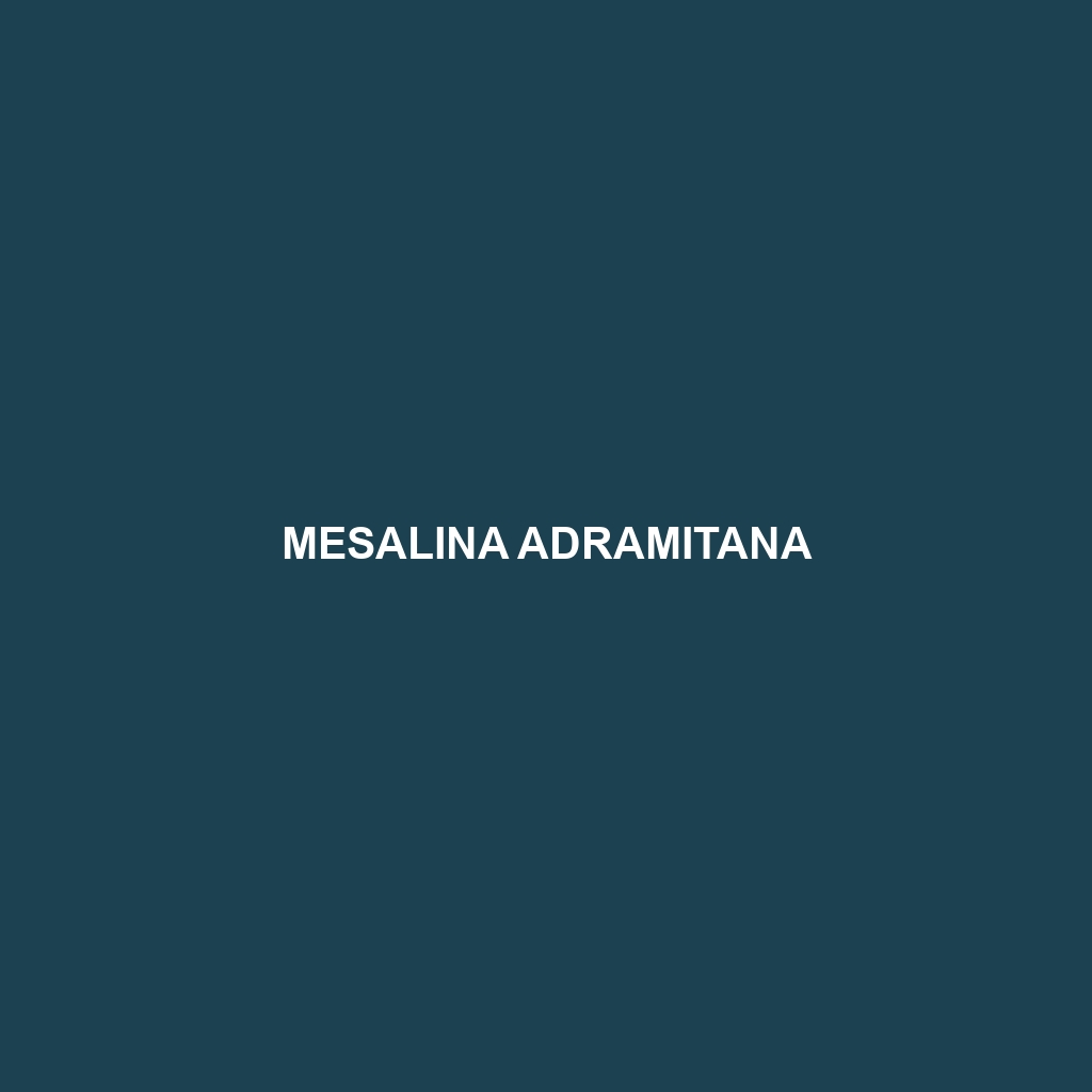 Mesalina adramitana