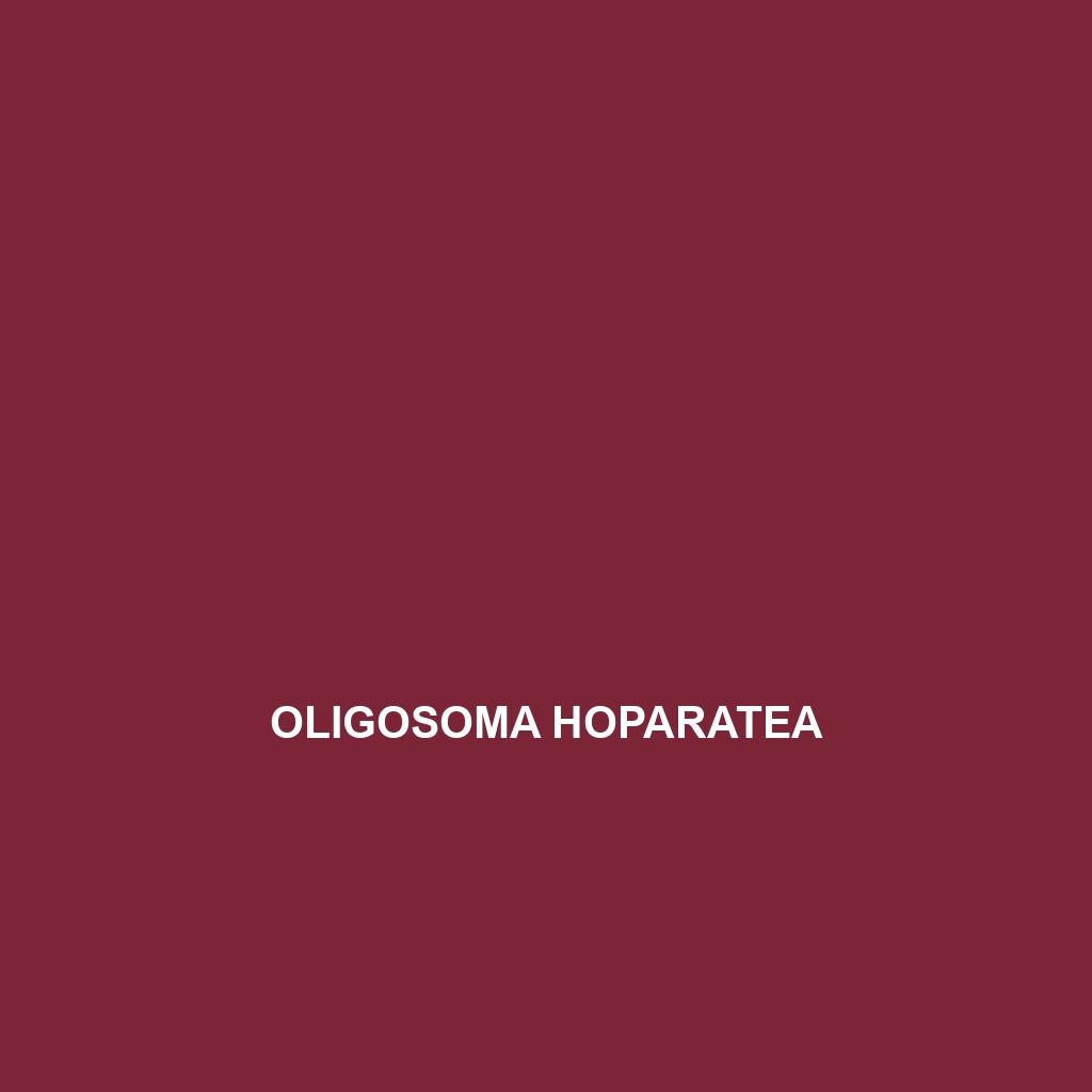 Oligosoma hoparatea