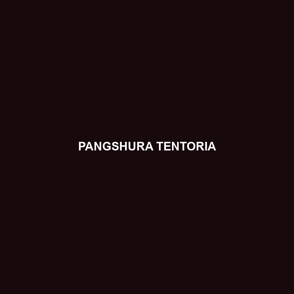 Pangshura tentoria