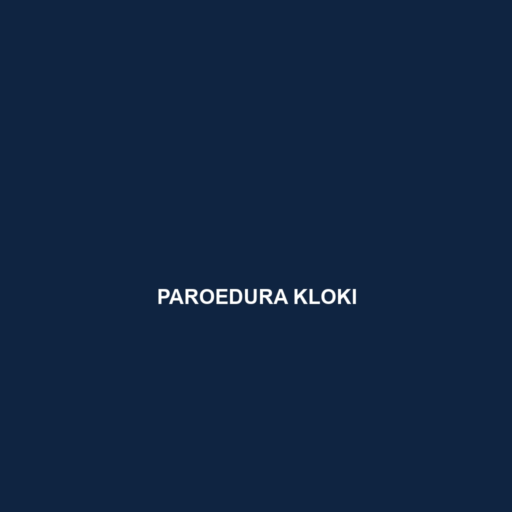 Paroedura kloki