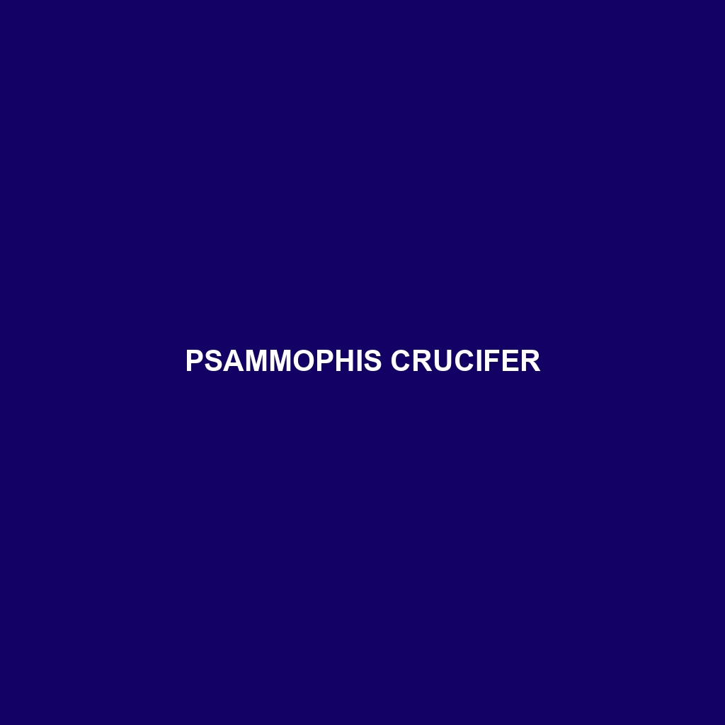 Psammophis crucifer