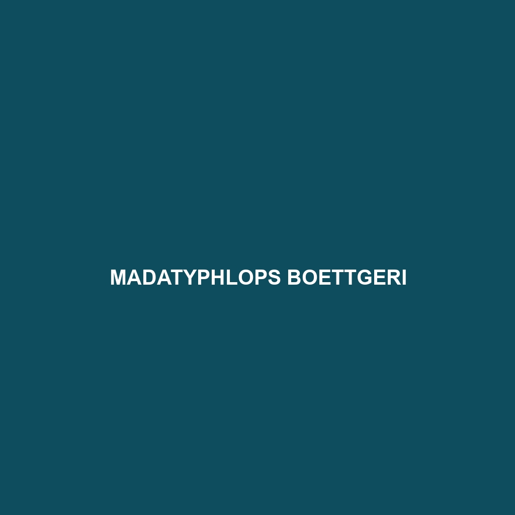 Madatyphlops boettgeri