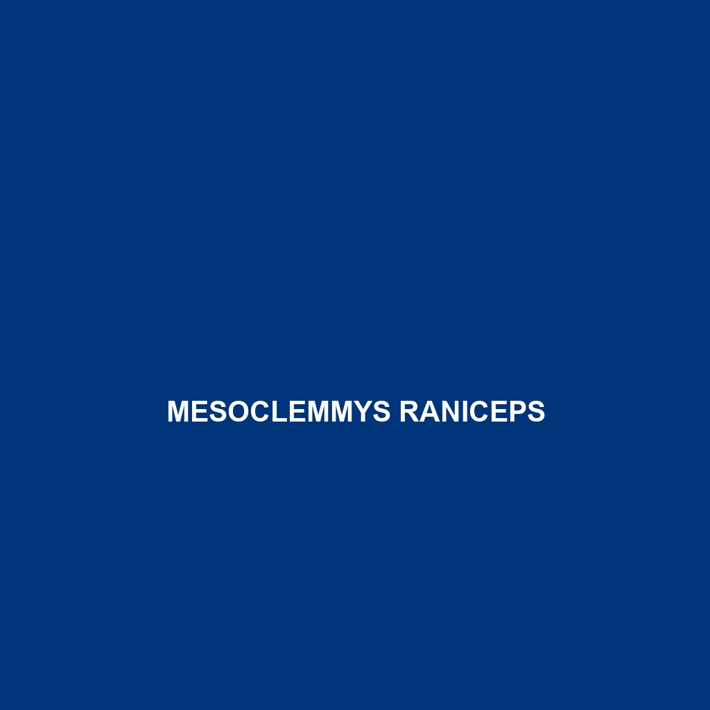 Mesoclemmys perplexa