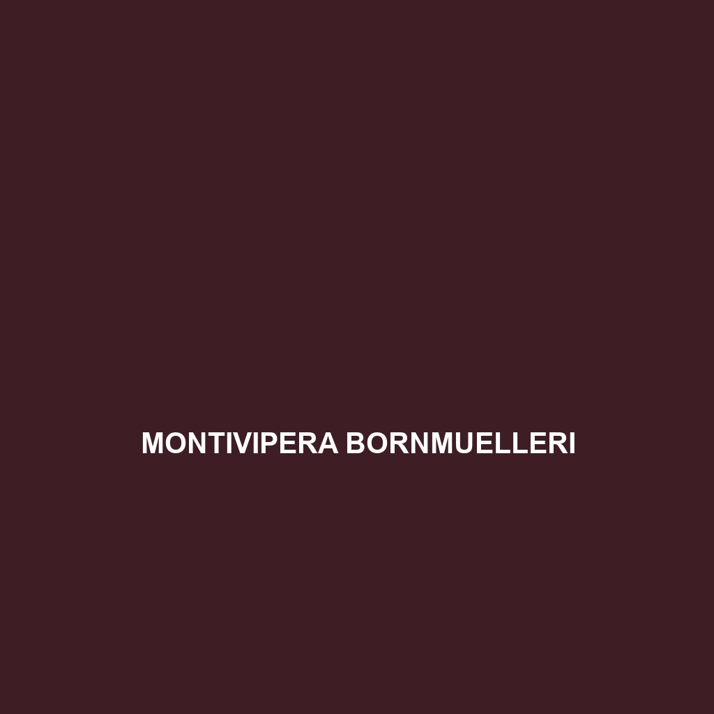 Montivipera bornmuelleri