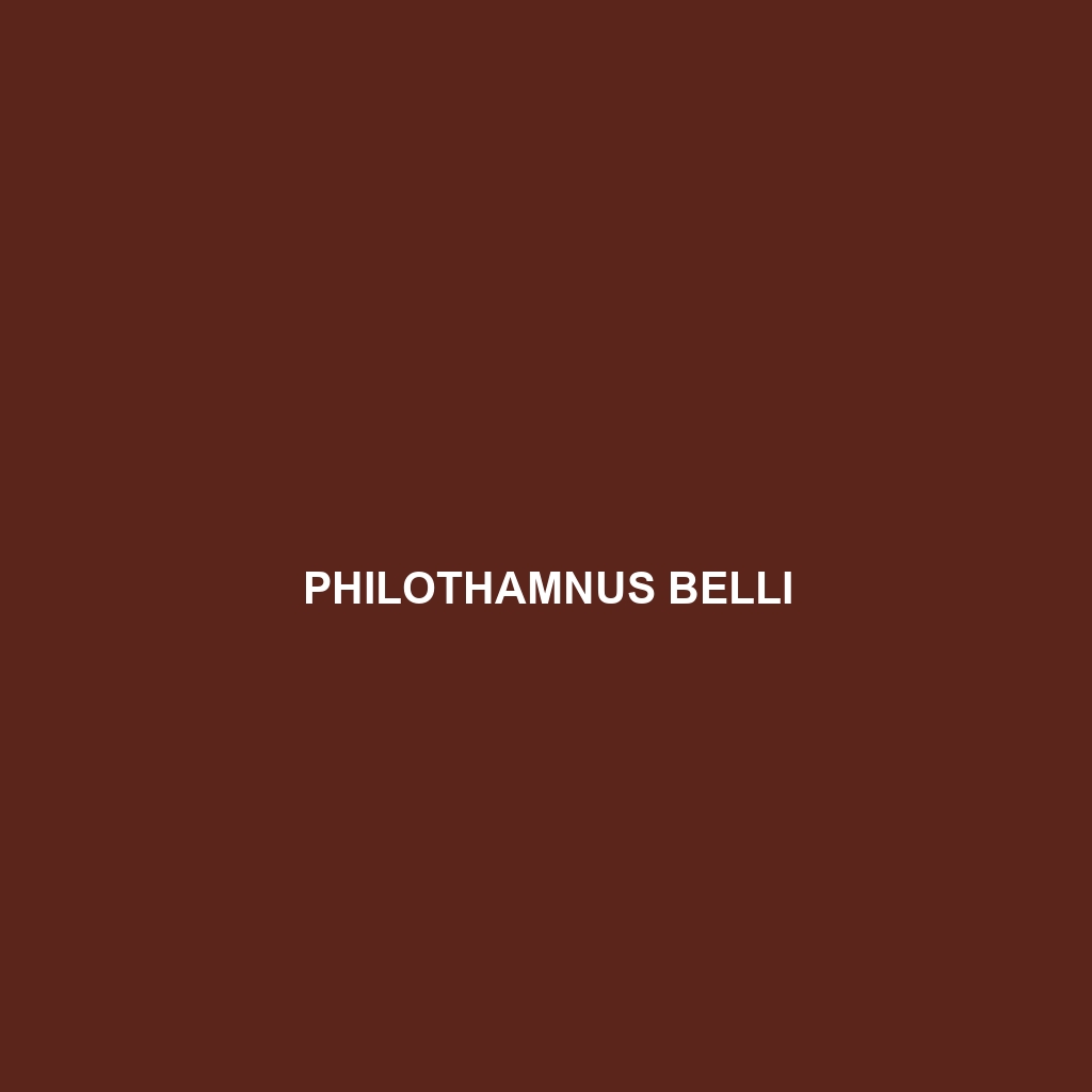 Philothamnus belli